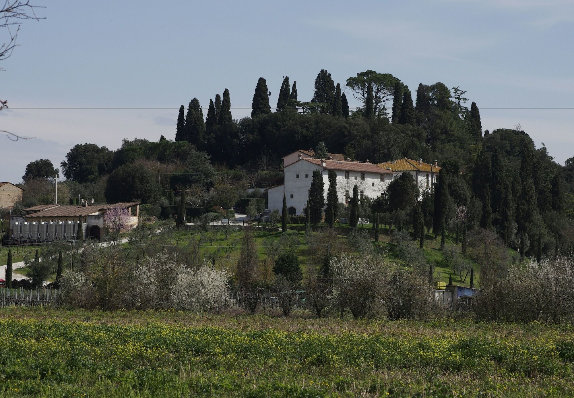 Villa Bacco A Petroio à Vinci Extérieur photo